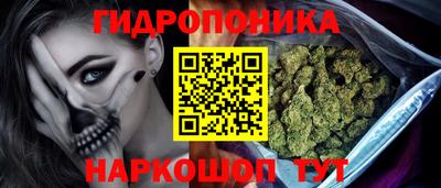 герыч Кингисепп