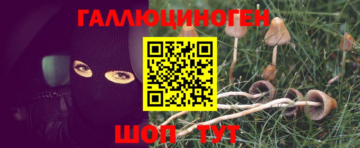 Псилоцибиновые грибы прущие грибы  Вход с VPN  Галлюциногенные грибы GOLDEN TEACHER  Кыштым 